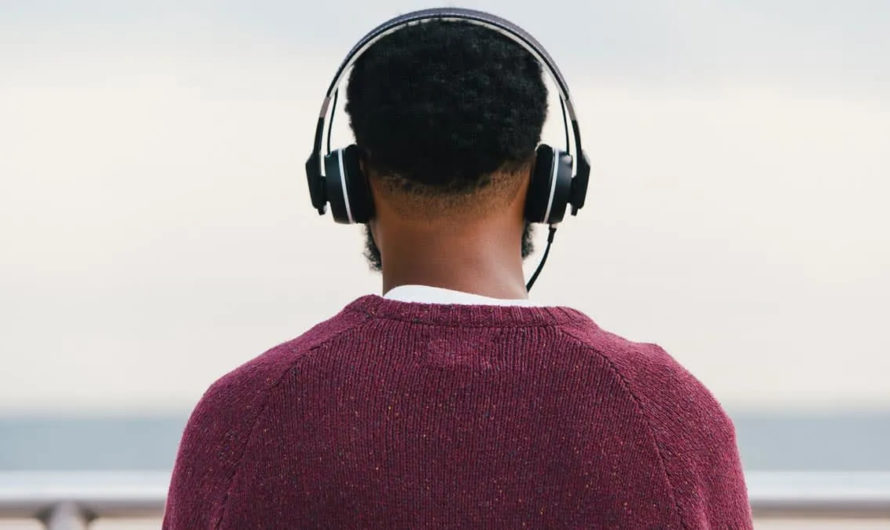 TOP 15 best on-ear headphones - wireless and wired models with a microphone